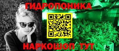 крисы Волжский