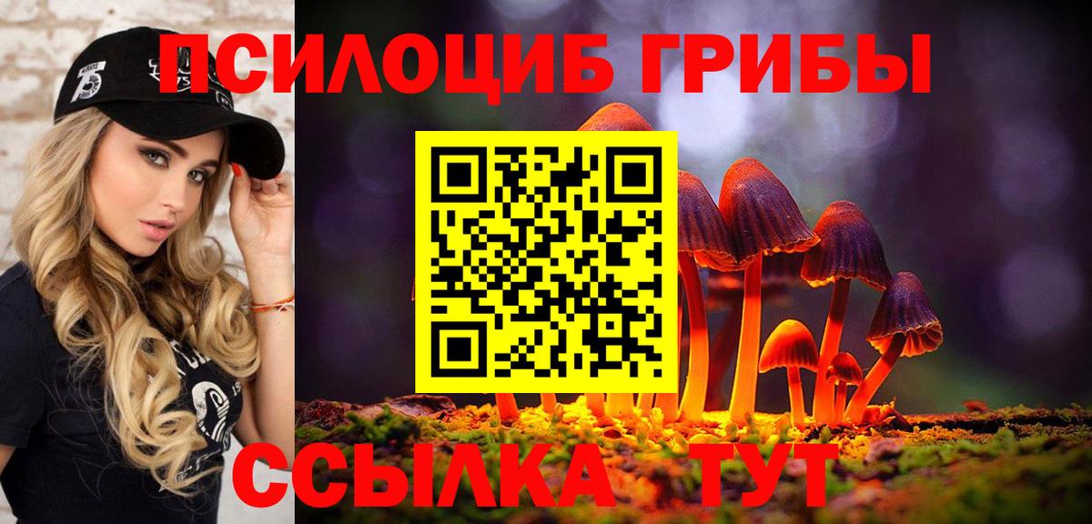 Артёмовский  Галлюциногенные грибы MAGIC MUSHROOMS  Вход с VPN  Псилоцибиновые грибы GOLDEN TEACHER 